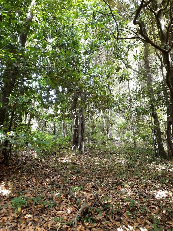 Finca La Jaraca Villa Tacoronte